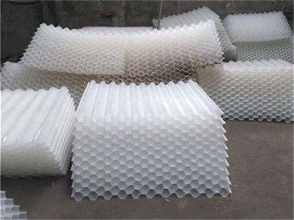 src=http___picx src=http___picx